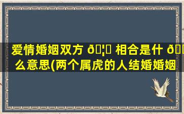 爱情婚姻双方 🦁 相合是什 🐠 么意思(两个属虎的人结婚婚姻怎样)
